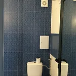 Palm Deluxe Slăntjev Brjag